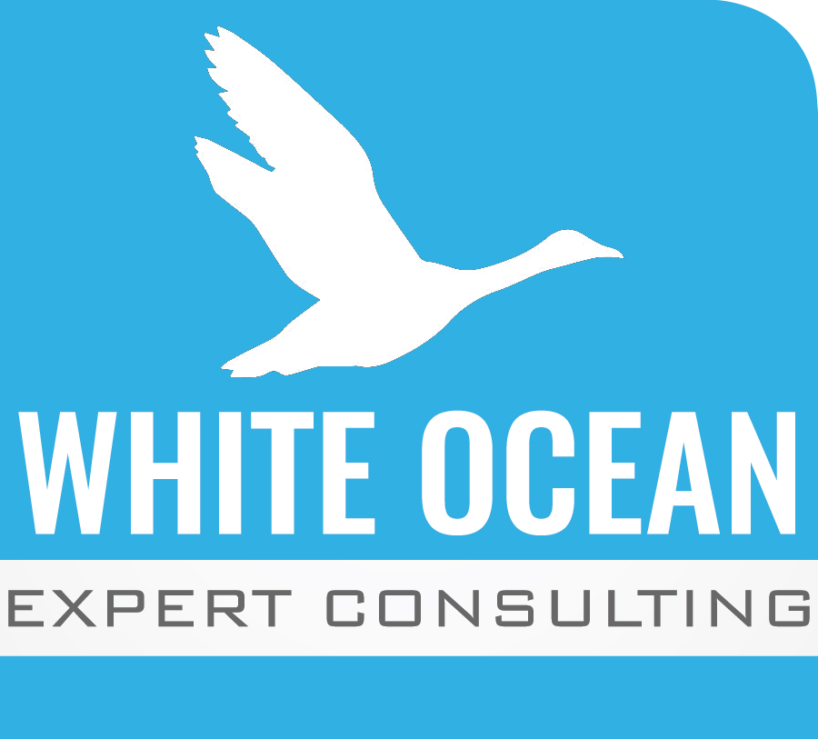 White Ocean Expert Consulting Logo