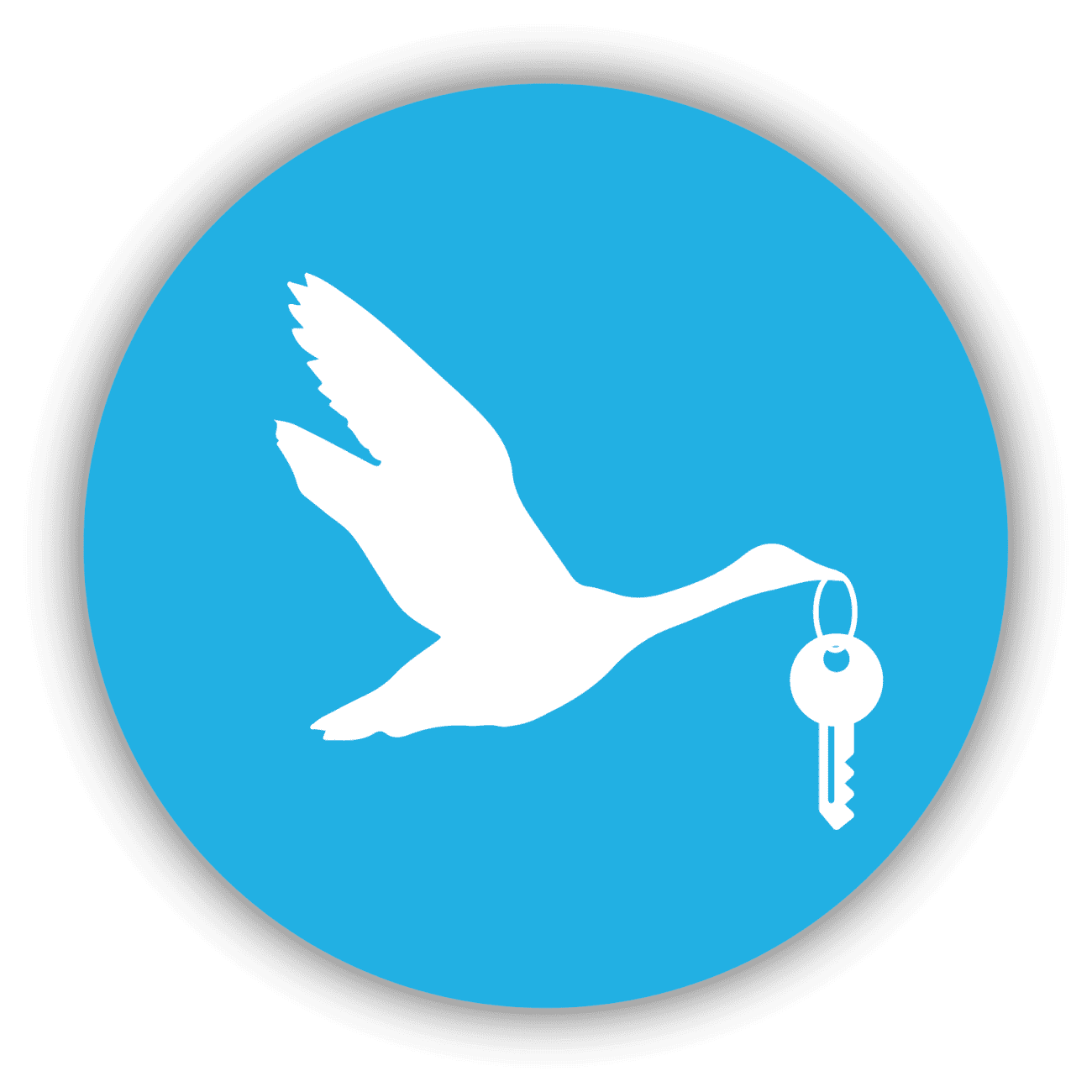 Ownership of the Account - White Ocean Expert Consulting
