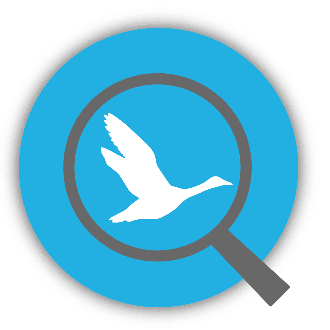Worldwide Access - Global Executive Search Network