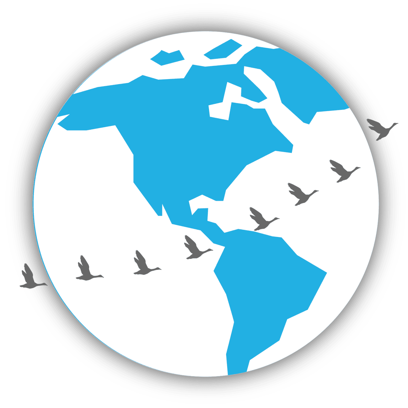 Global Research - Market and Candidate Intelligence