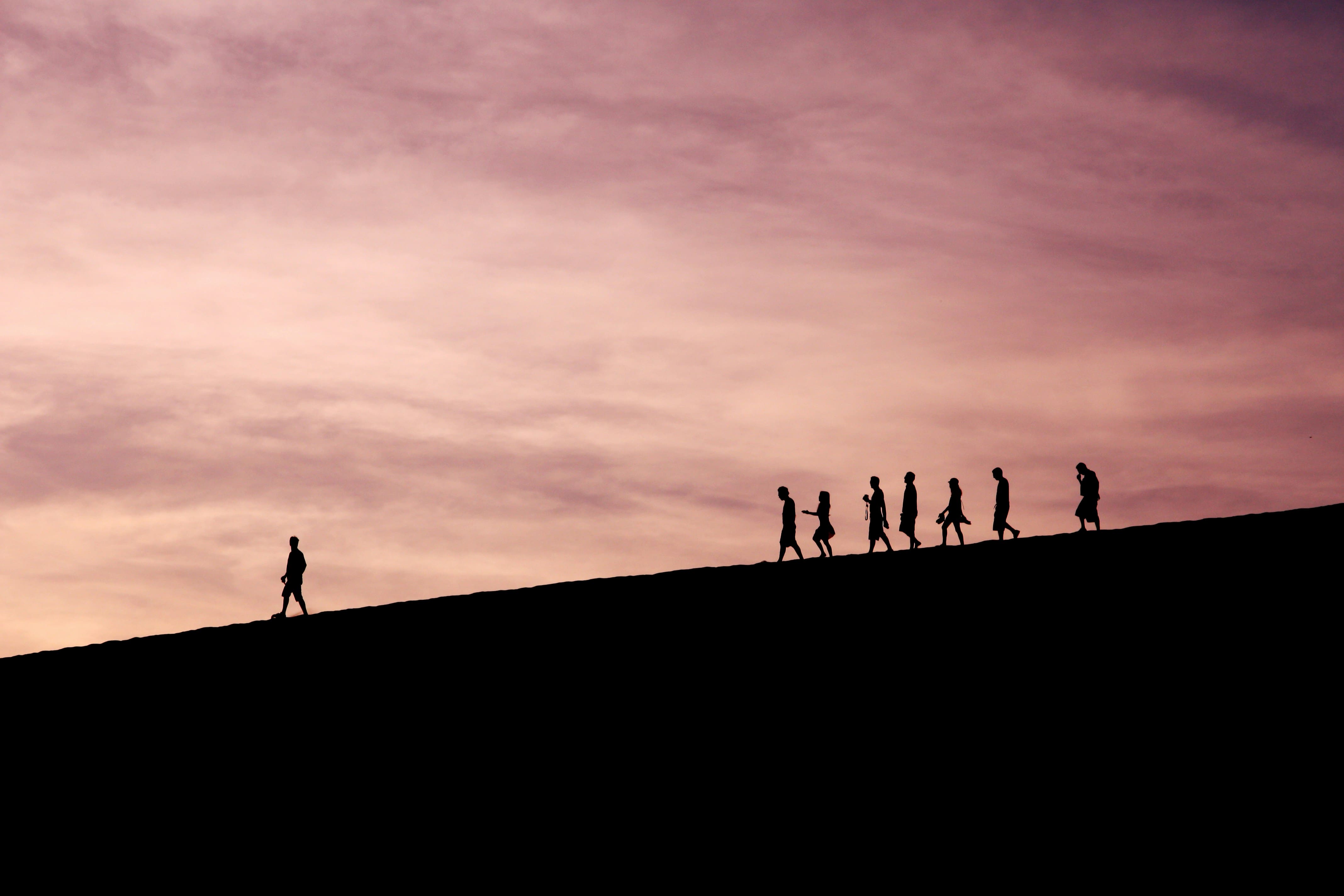 Thought Leadership - Executive Search and Industry Insights